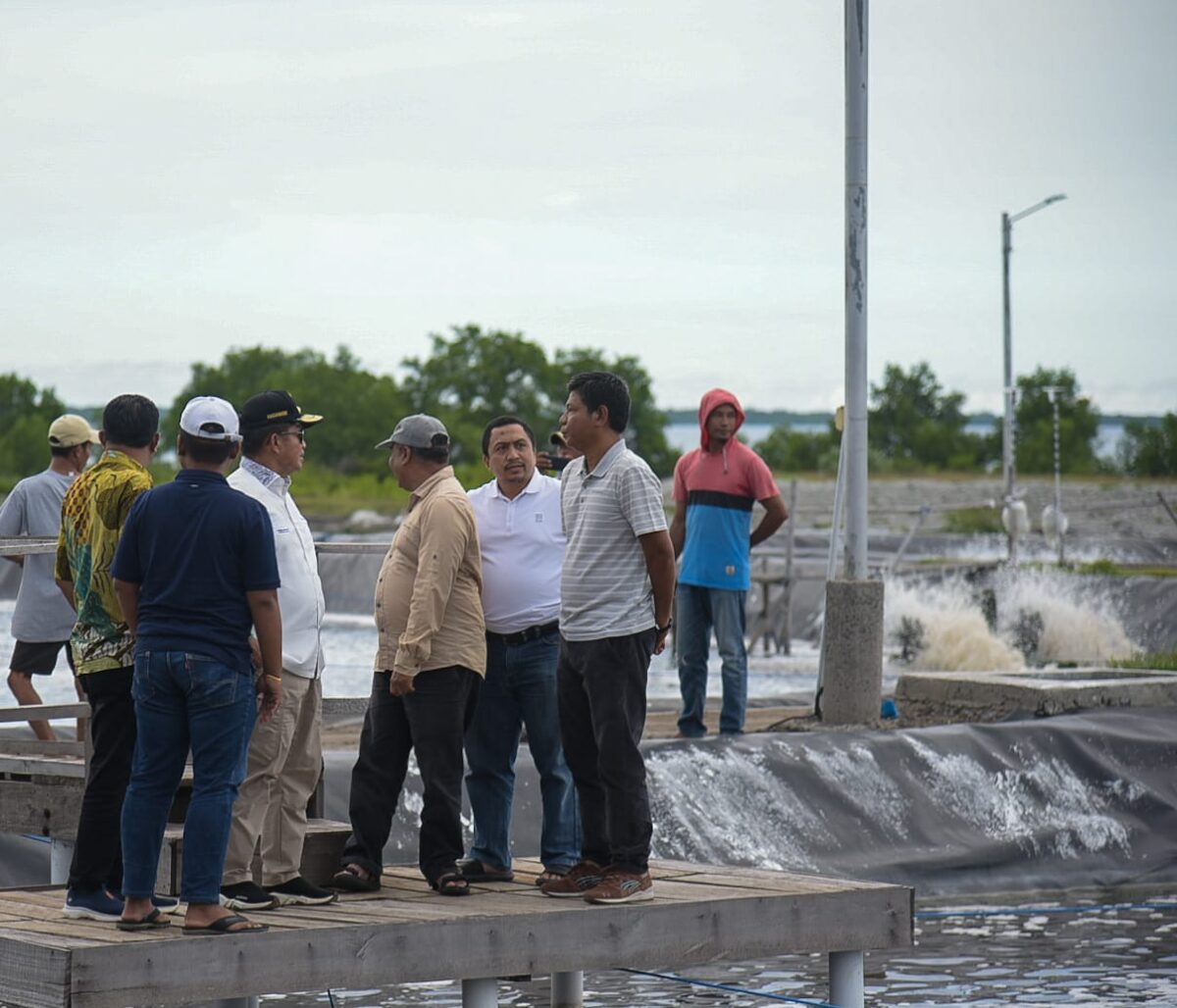 Pj Gubernur NTB hadiri Panen Udang di Sumbawa