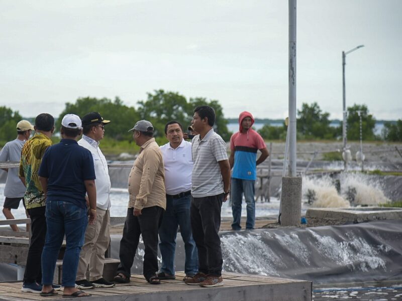 Pj Gubernur NTB hadiri Panen Udang di Sumbawa