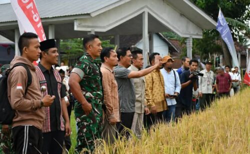 Bupati Lotim Menghadiri Panen Pembenihan dengan Agrinas Mandiri